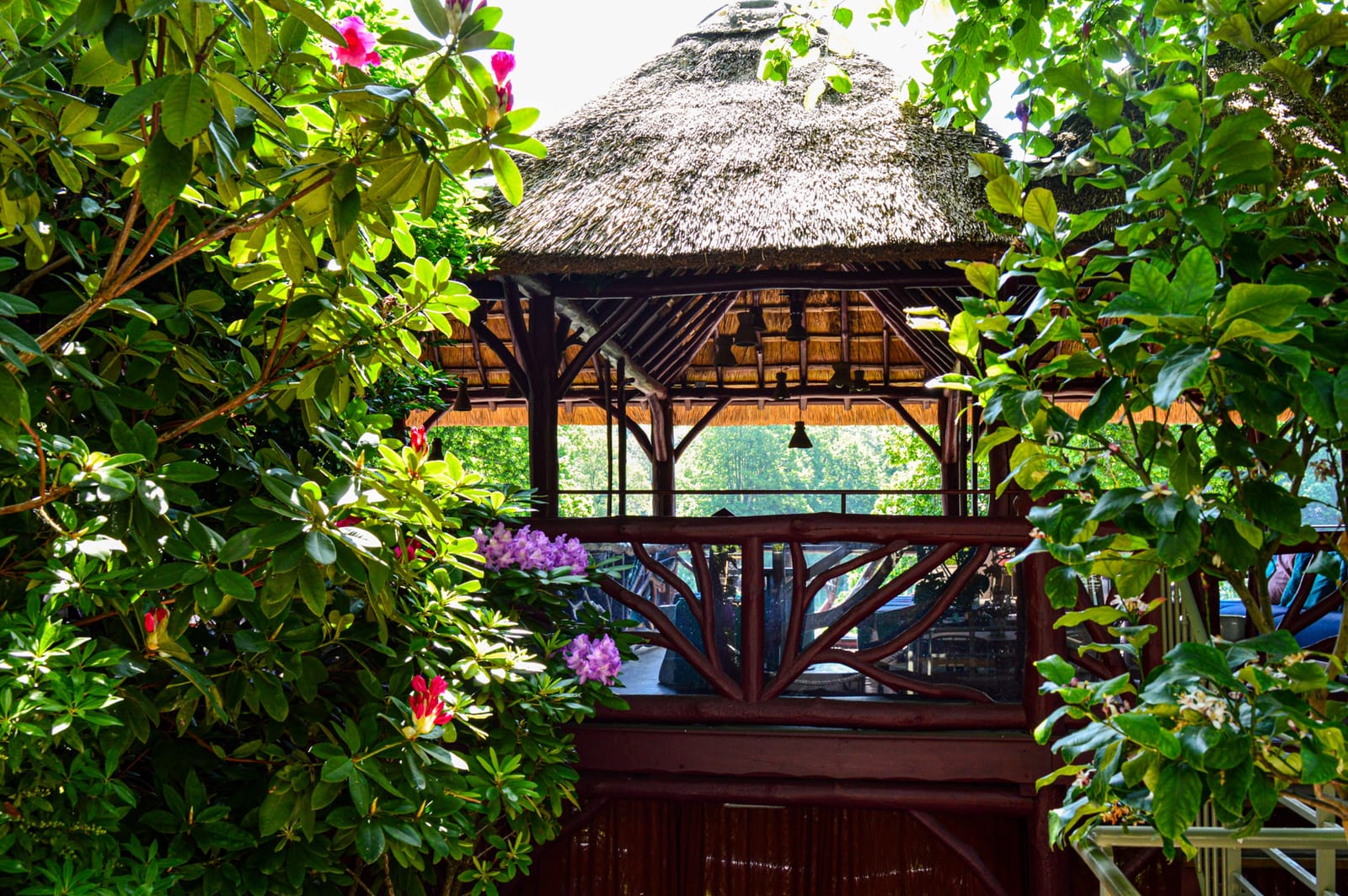 Les Paillotes - a former 19th century guinguette with an amazing view on the ponds - Photo 4