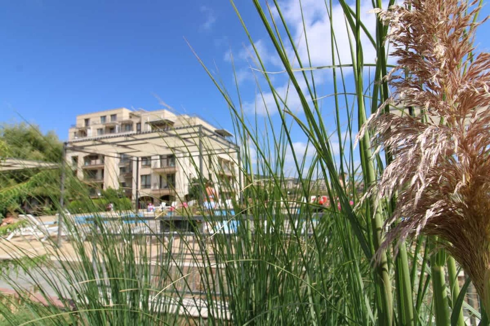 Sorrento Cozy Studio - Photo 10