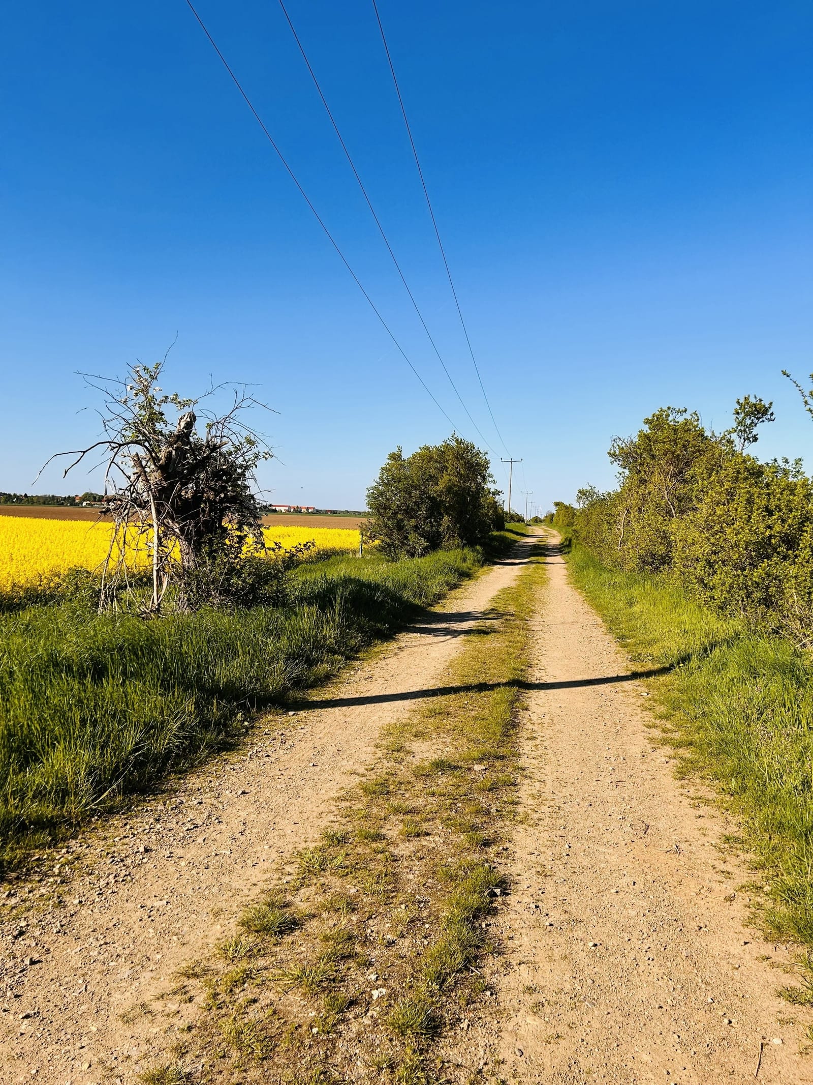 Historic Half-Timbered Farmhouse with Cinematic Garden &amp; Authentic European Atmosphere - Photo 10