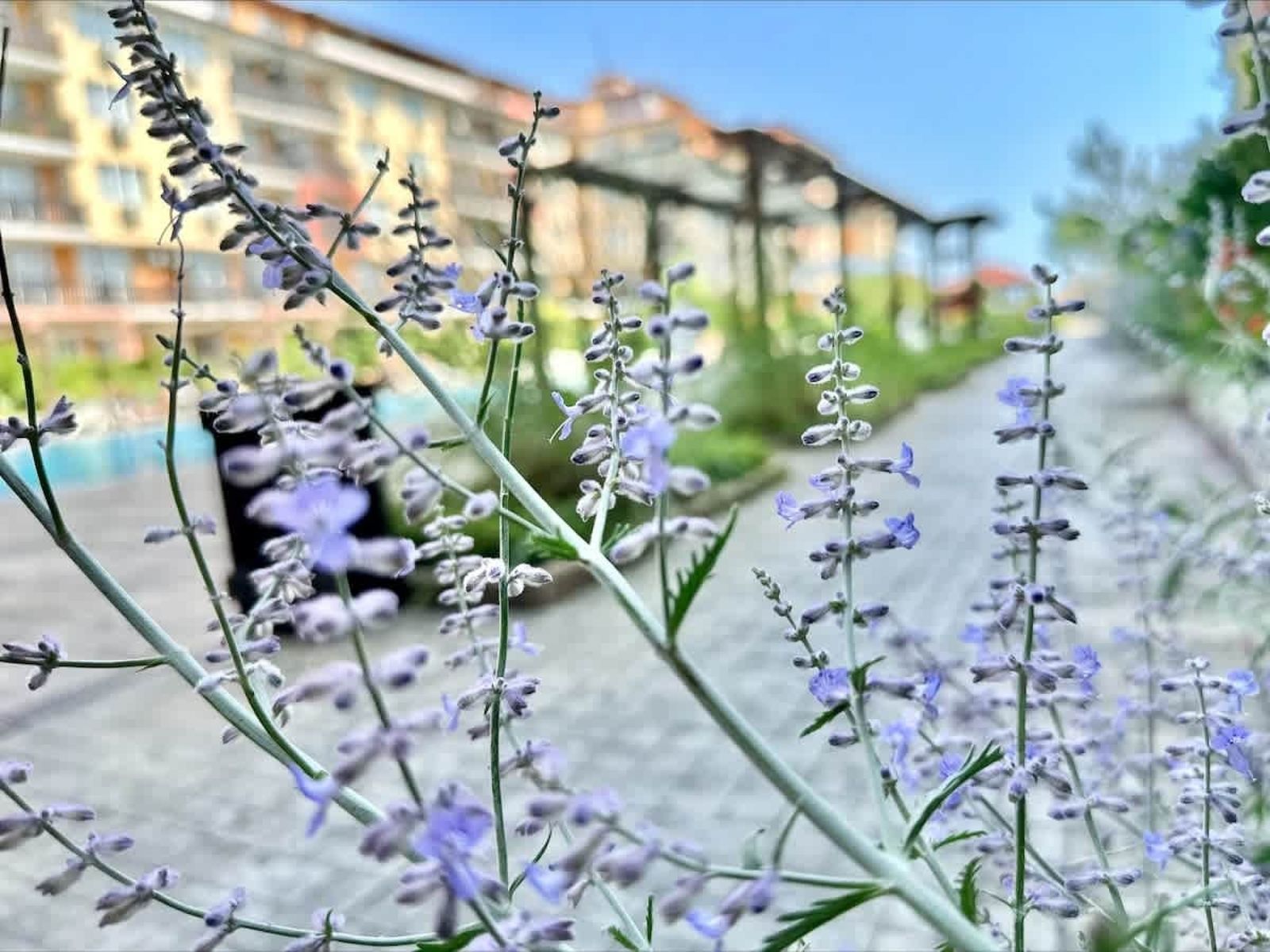 Cozy Chateu Aheloy 2  family studio - Photo 20