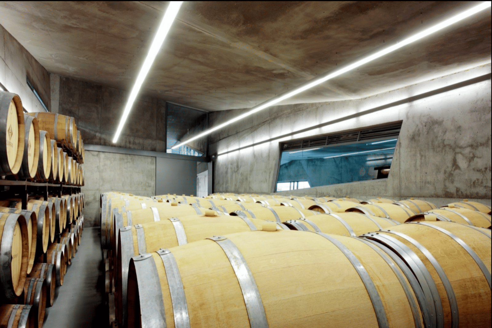 Qumran Winery - Photo 2