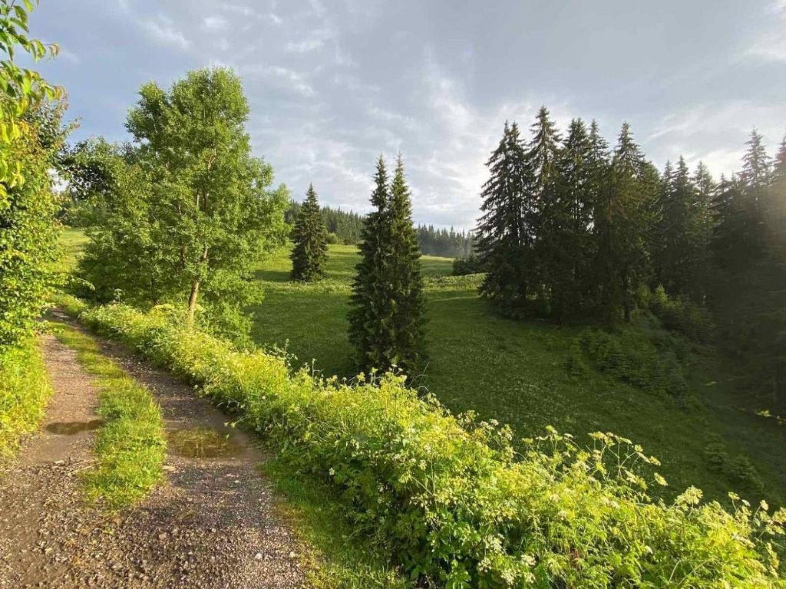 Къща за гости "Панорама" Проглед - Photo 12