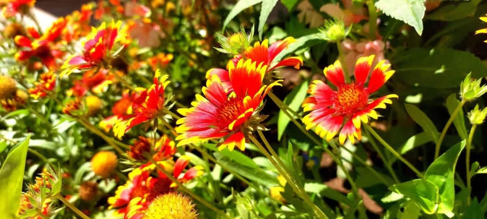 Cozy - Blue Marine - big 2-bedroom for 5 people - Photo 2