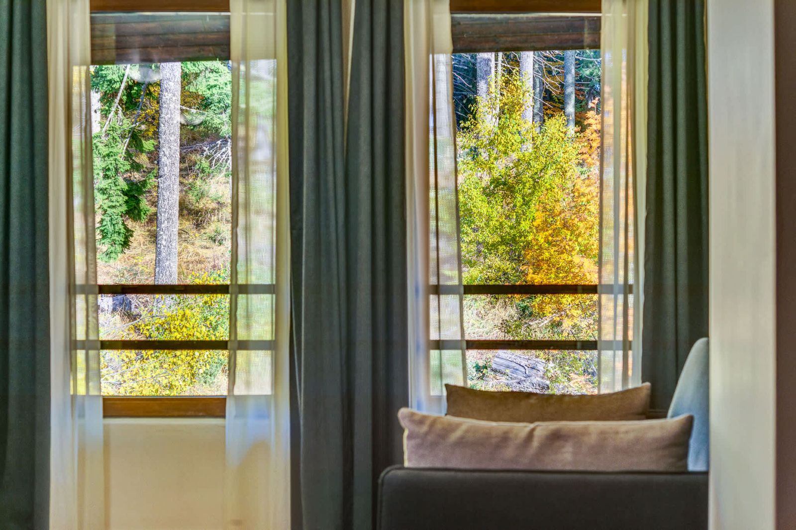 Alpine Escape at Dream View - Photo 4