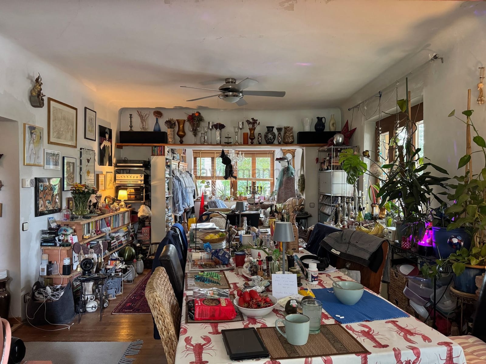 Location 498 - Photo 15