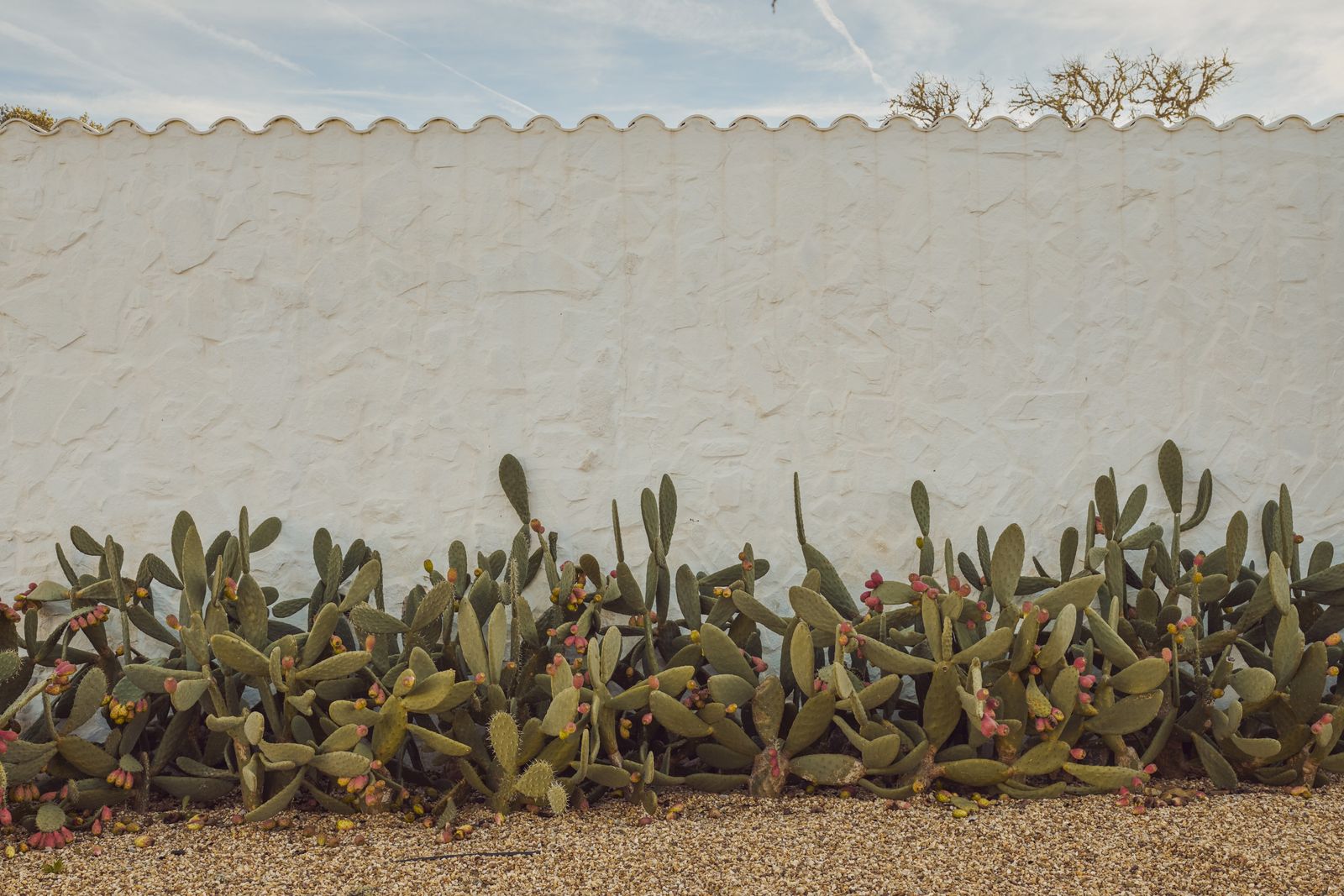 Casa da Volta — Contemporary Walled Villa with Courtyards &amp; Exceptional Natural Light - Photo 2