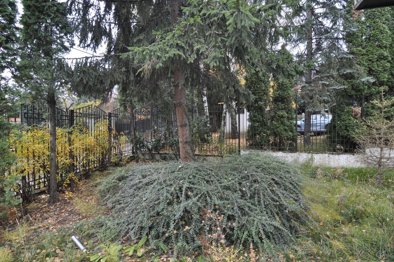 The Mosaic House - Photo 5