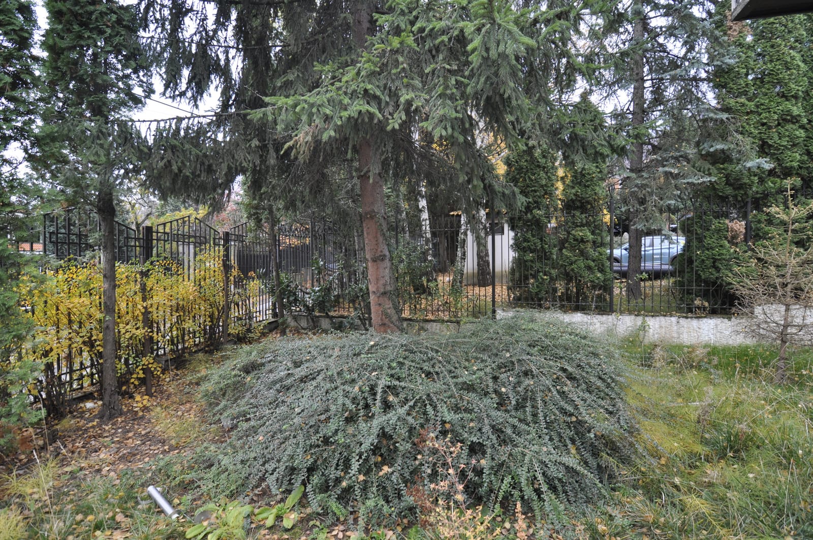 The Mosaic House - Photo 5