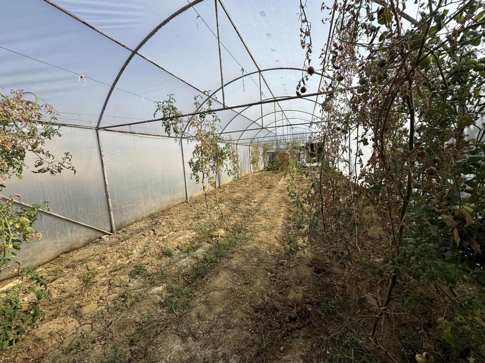 Zornitza Family Estate - Farm - Photo 14