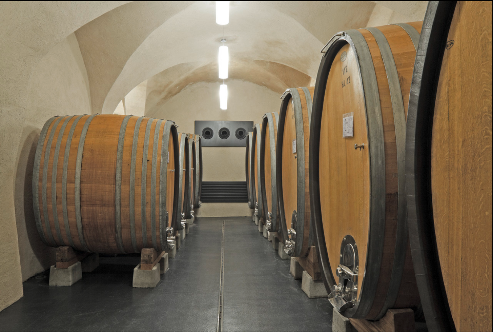 Winery Nals Margreid - Photo 6