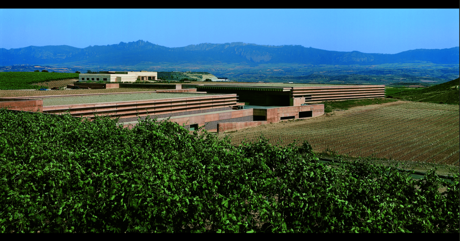 Campo Viejo Winery - Photo 3