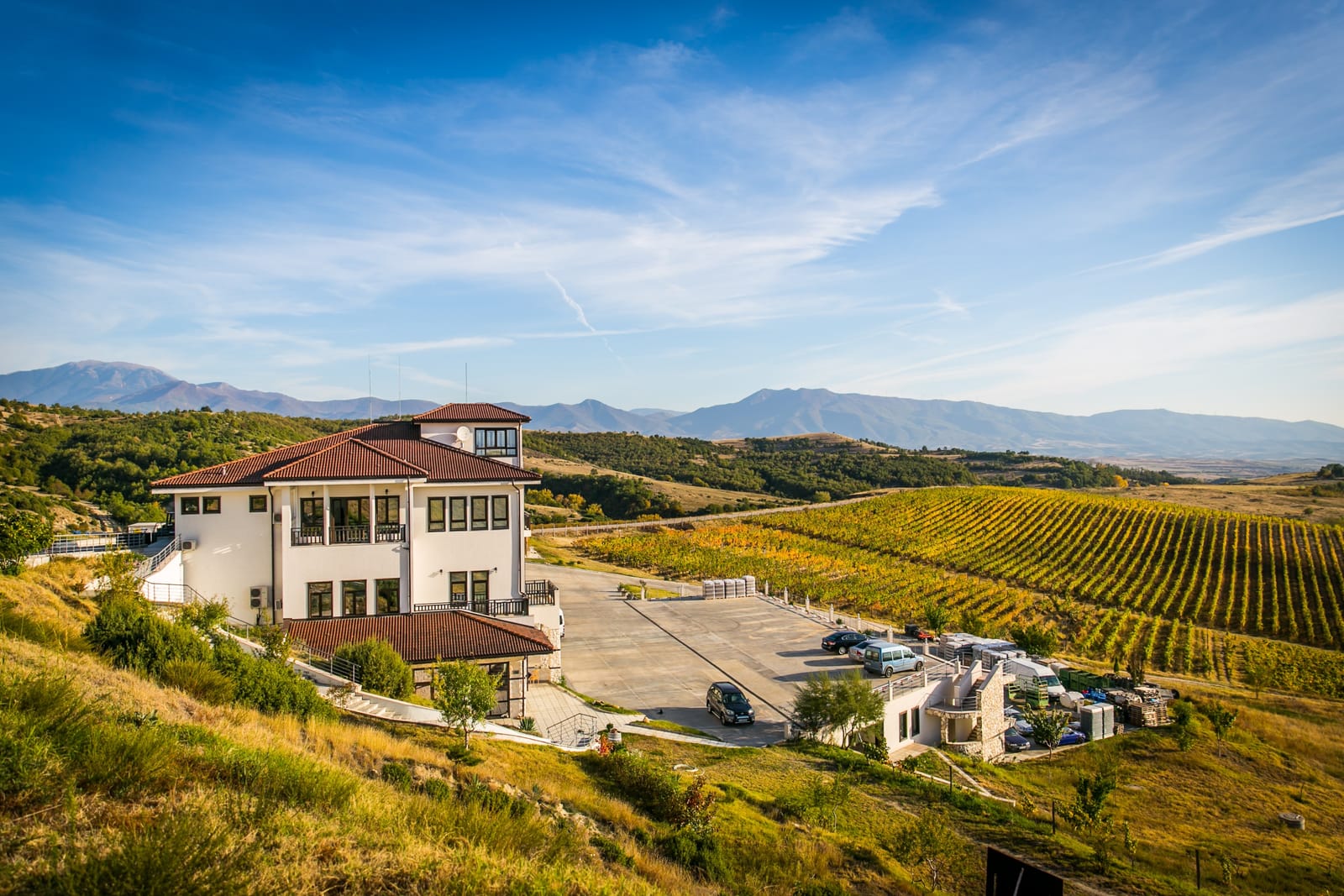 Villa Melnik - Photo 10