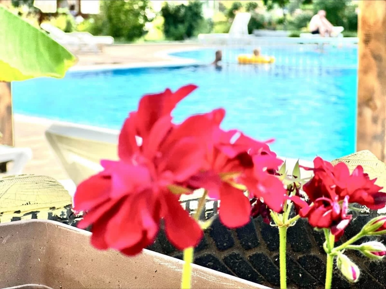 Cozy Chateu Aheloy 2  family studio - Photo 7