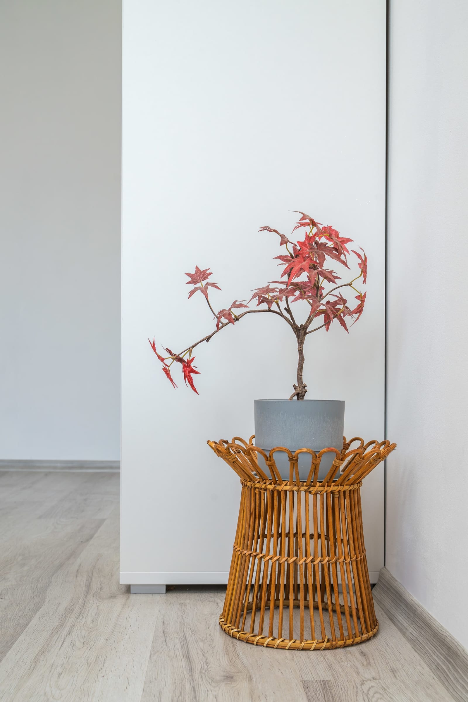 Sunny &amp; Modern 1BR Apartment - Photo 10