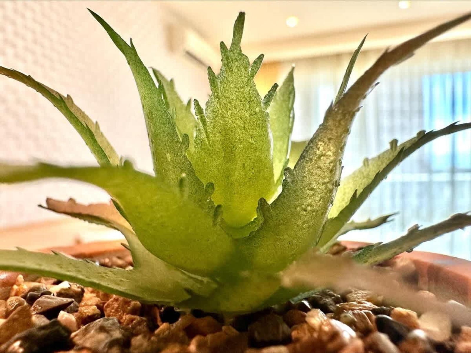 Miramar Palace Studio with Balcony - Photo 18