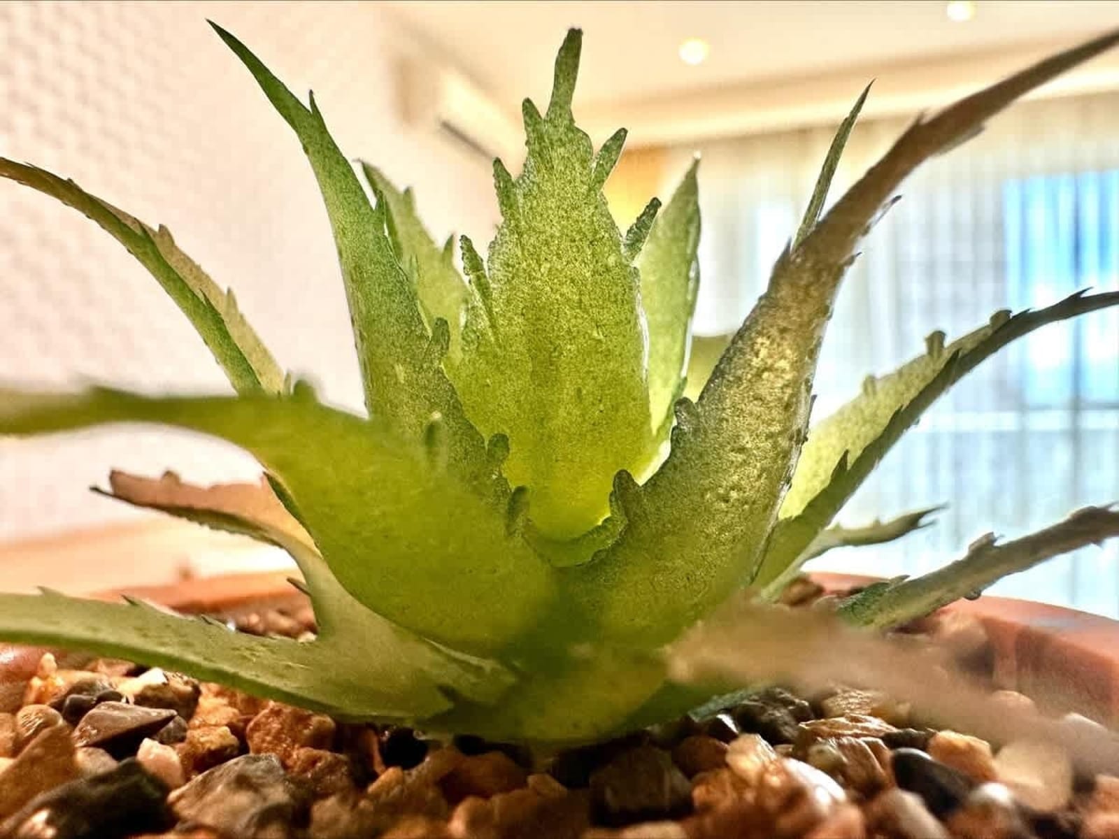 Miramar Palace Studio with Balcony - Photo 18