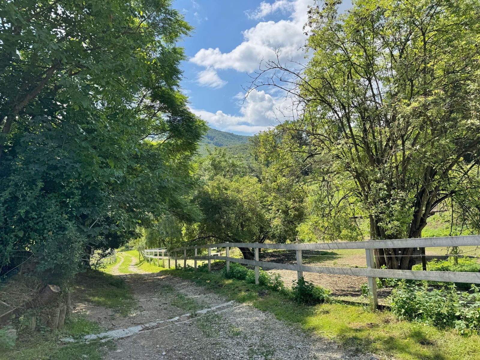 Location 502 - Photo 10