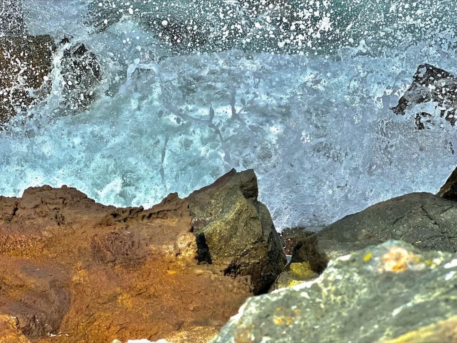 Family studio in Pomorie Bay - Photo 26