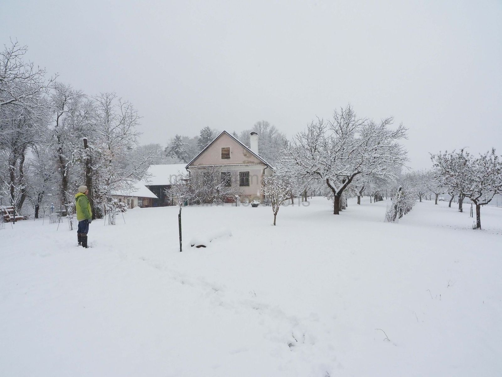 Location 293 - Photo 3