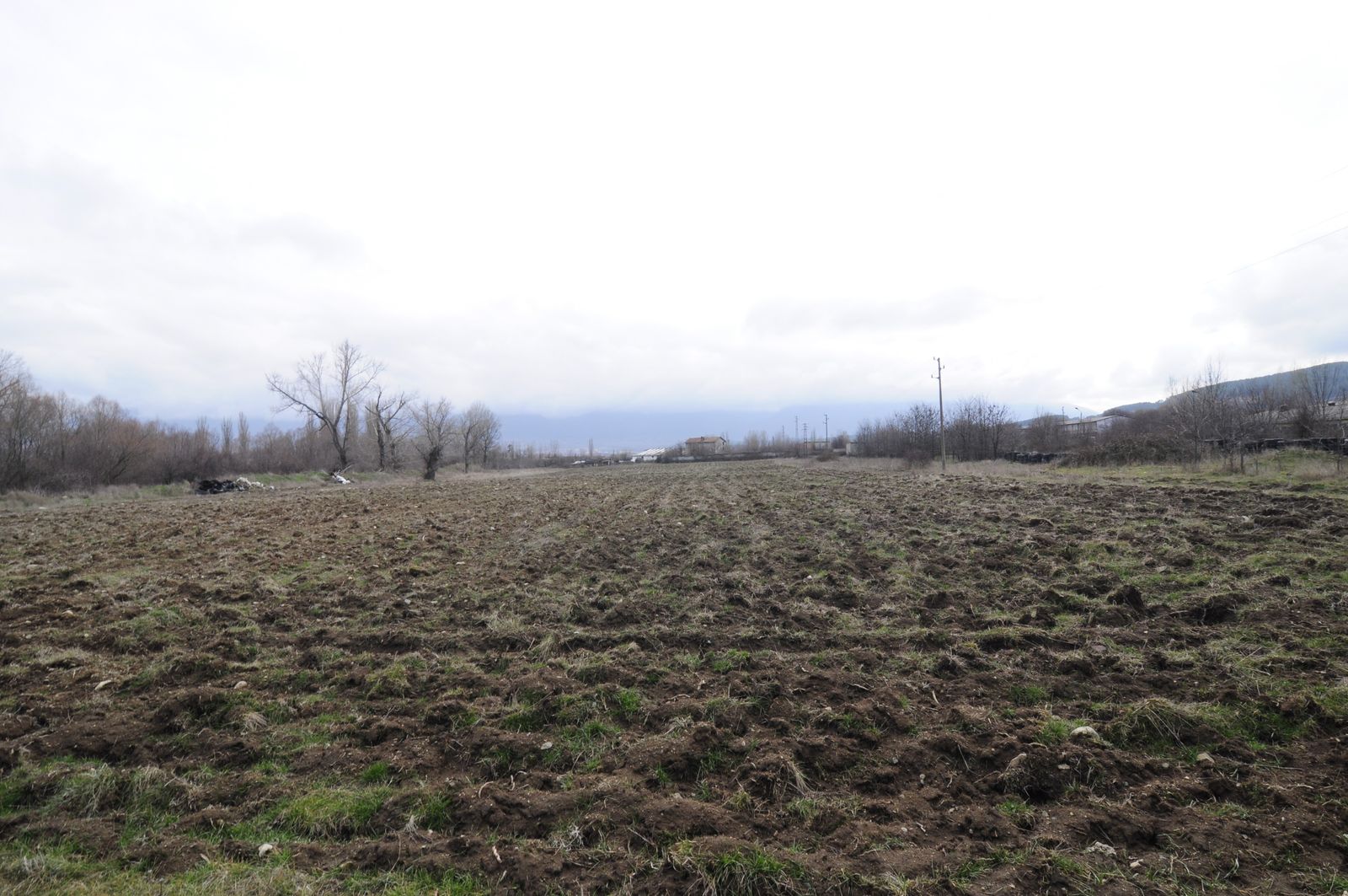 Industrial building - woodworking/carpentry shop, old cow barns - former collective farm from the socialist regime - Photo 13