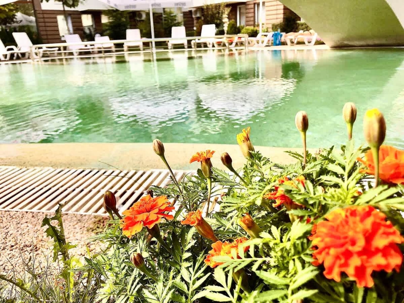 Cozy and comfortable studio in Casa del Sol - Photo 17