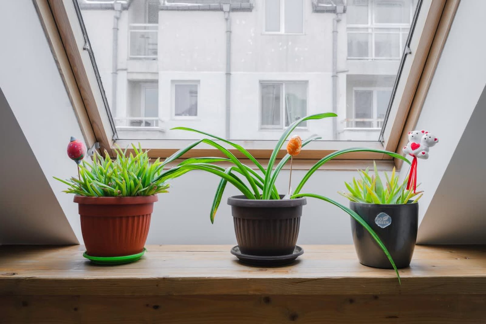 Charming &amp; Cozy 2BD Apartment with Natural Light - Photo 16