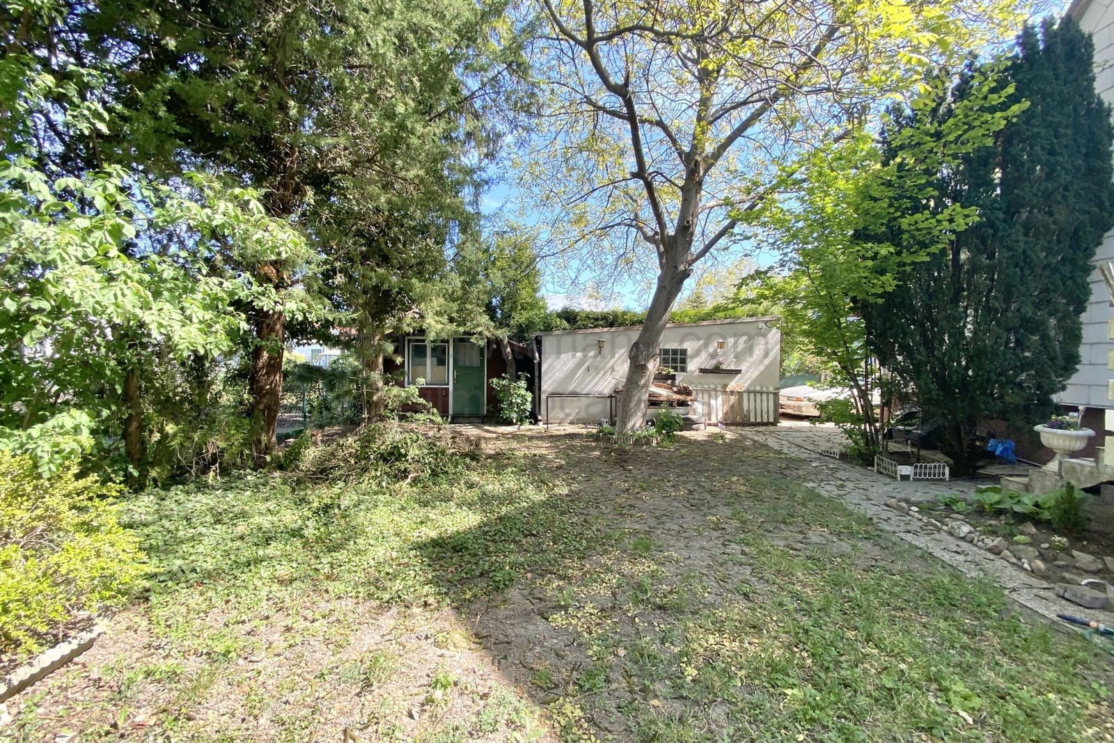 Location 243 - Photo 16