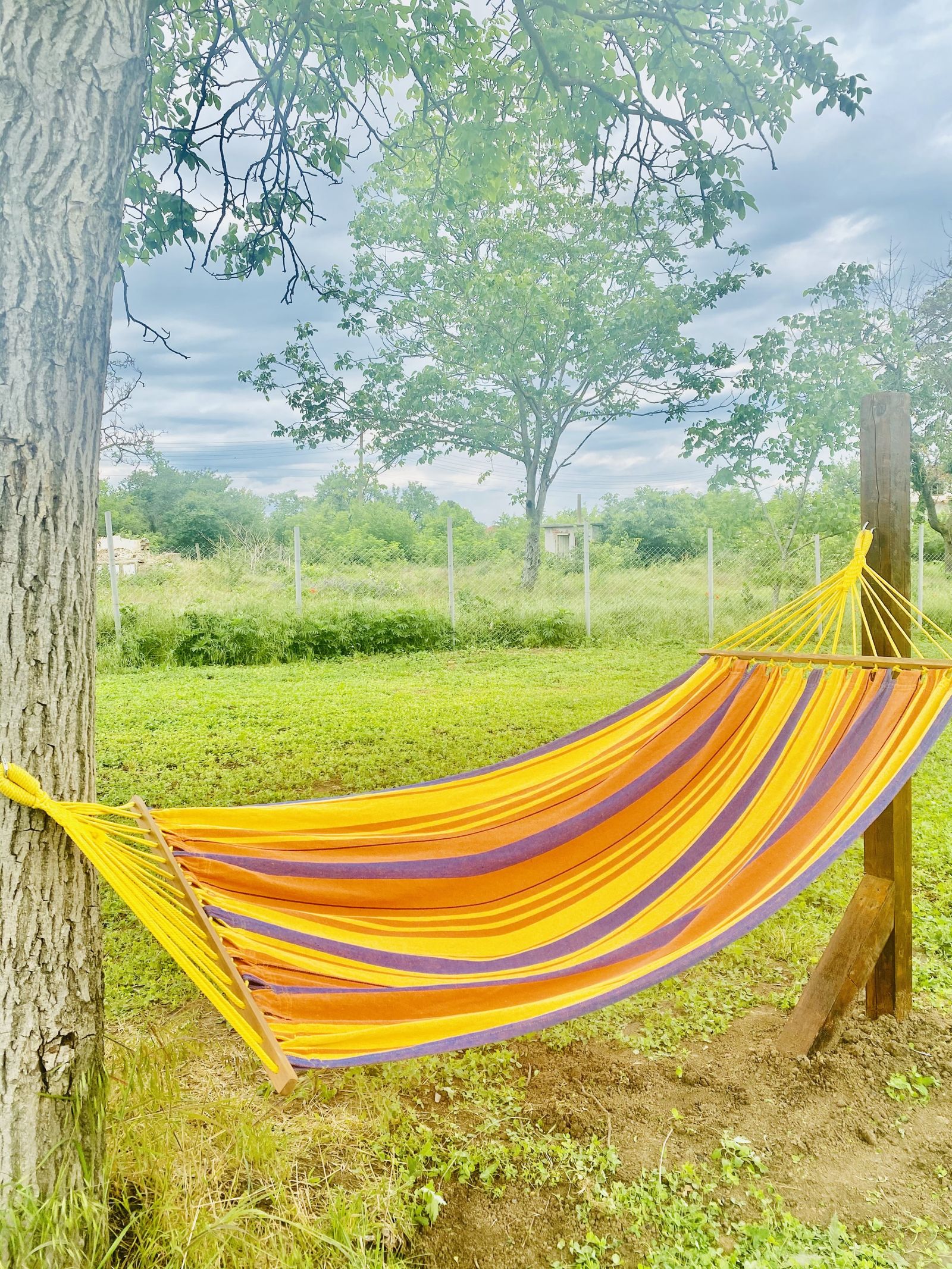 The Happy Caravans - Photo 18