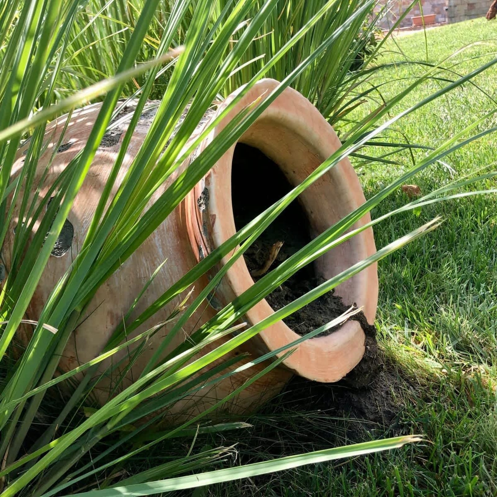 Sorrento Cozy Studio - Photo 9