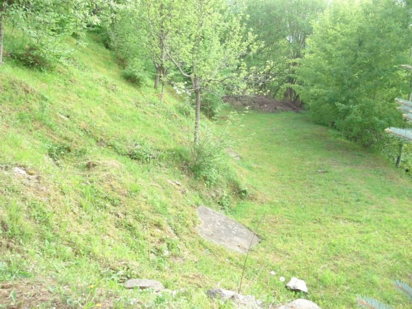 Old Marko's House Park and Lounge - Photo 30