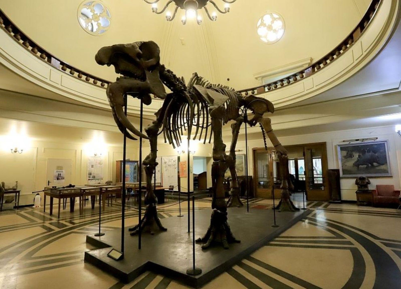 SOFIA UNIVERSITY ST. KLIMENT OHRIDSKI - Photo 2