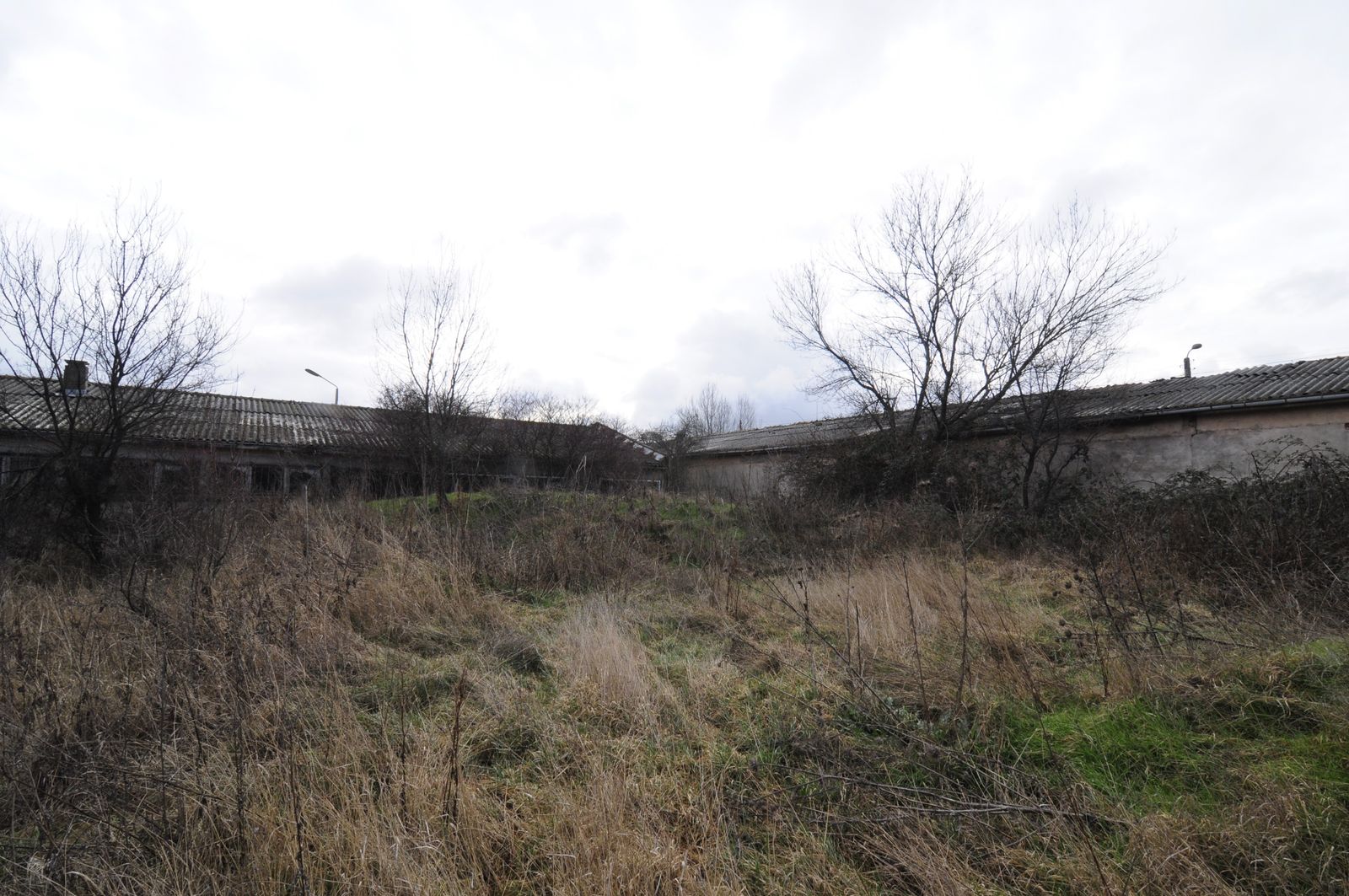 Industrial building - woodworking/carpentry shop, old cow barns - former collective farm from the socialist regime - Photo 59