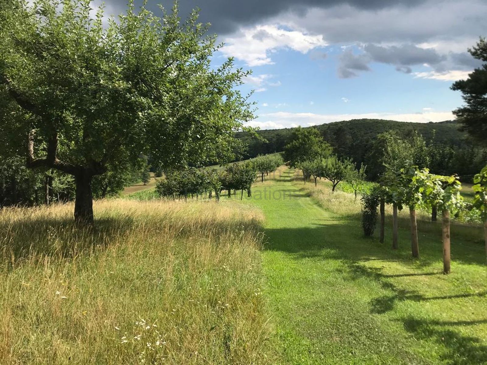 Location 293 - Photo 8