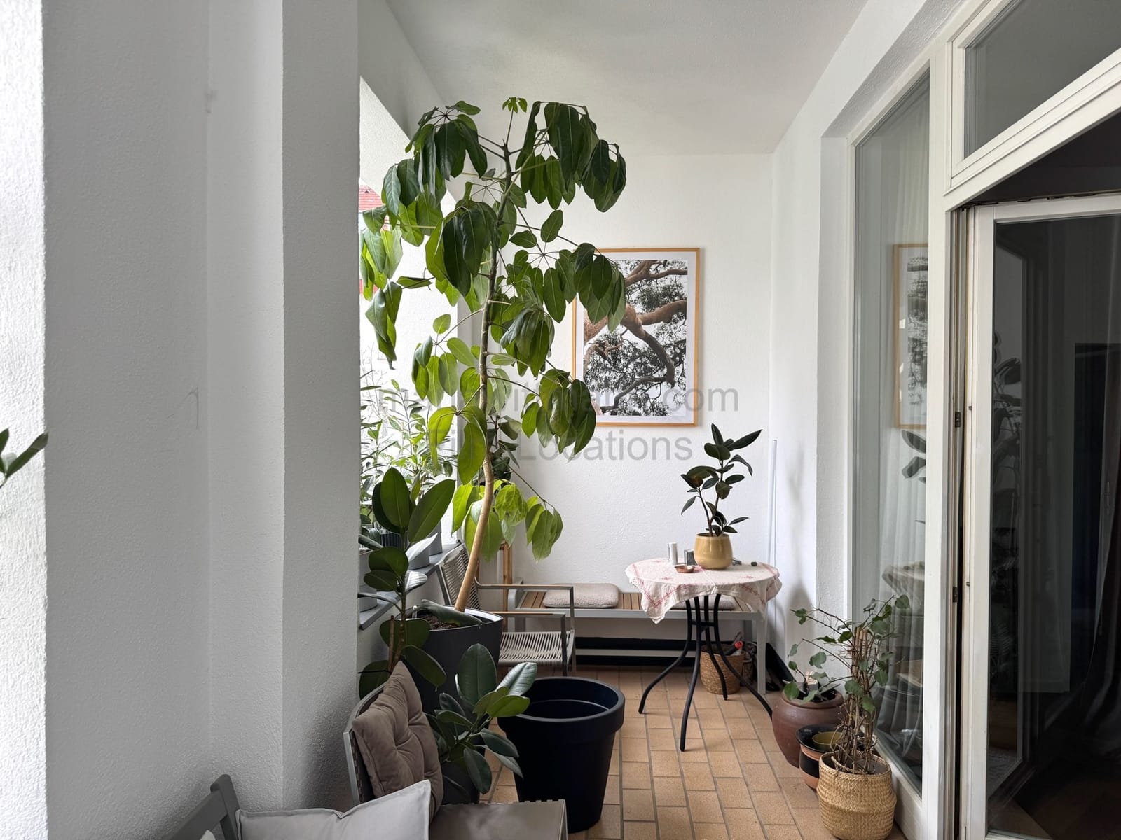 Location 157 - Photo 3