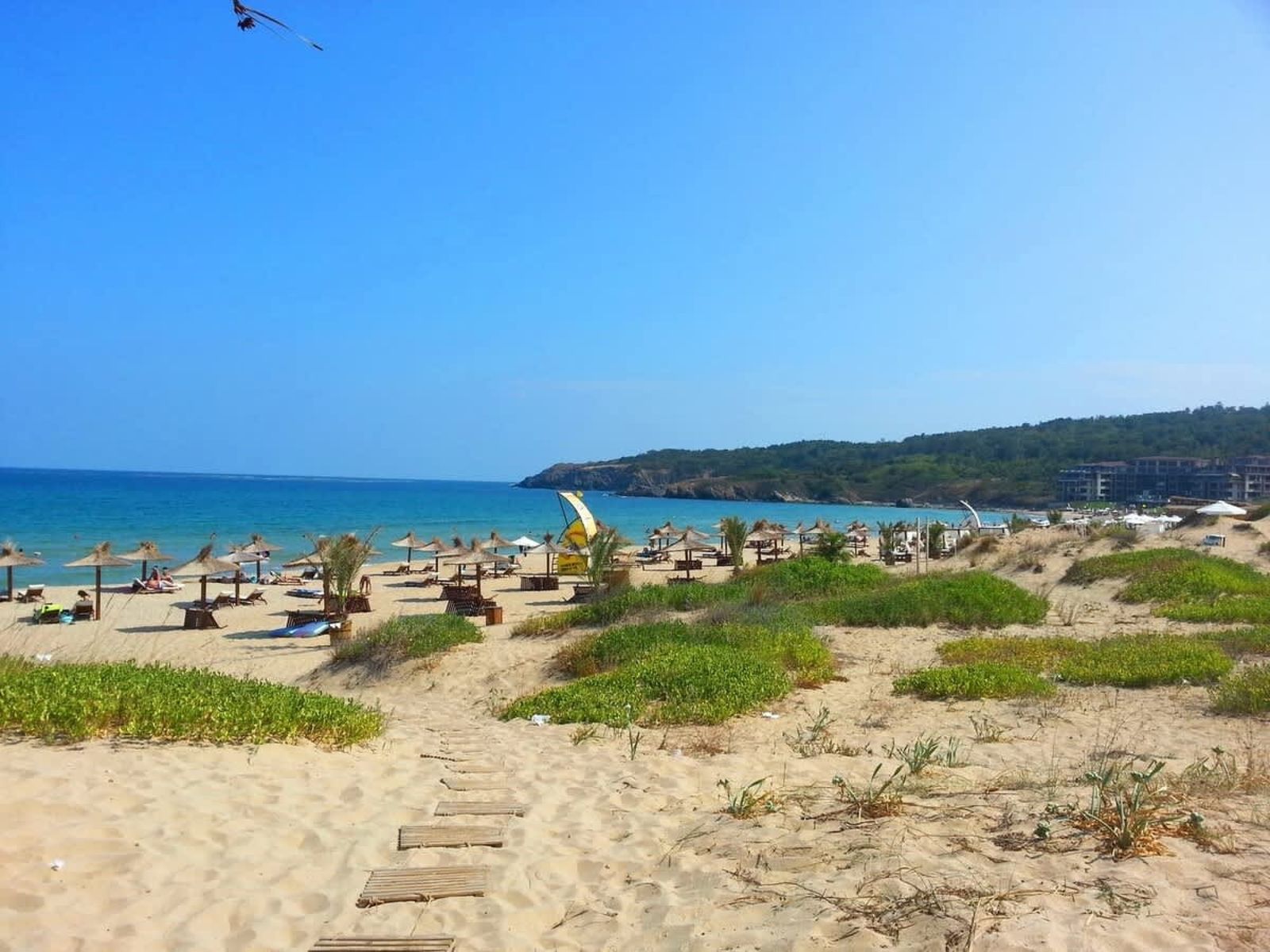 Cozy South Pearl  Pool View Studio for Family - Photo 20