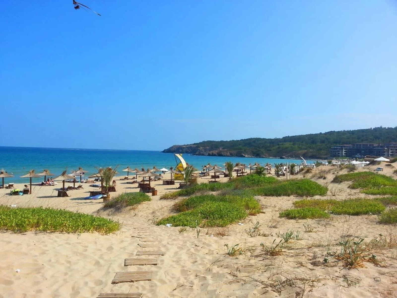 Cozy South Pearl  Pool View Studio for Family - Photo 20