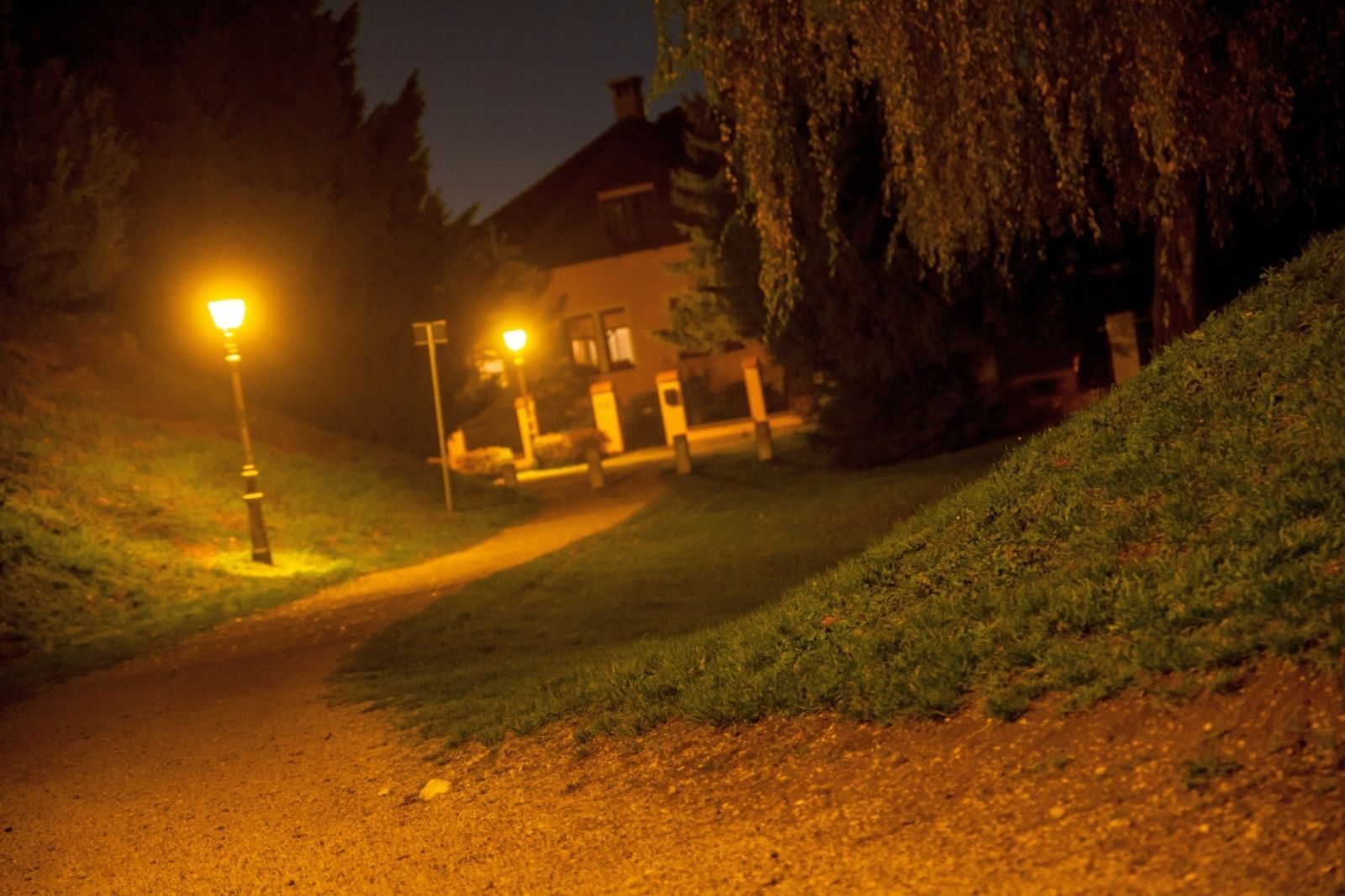 Exotic Castle - Photo 9