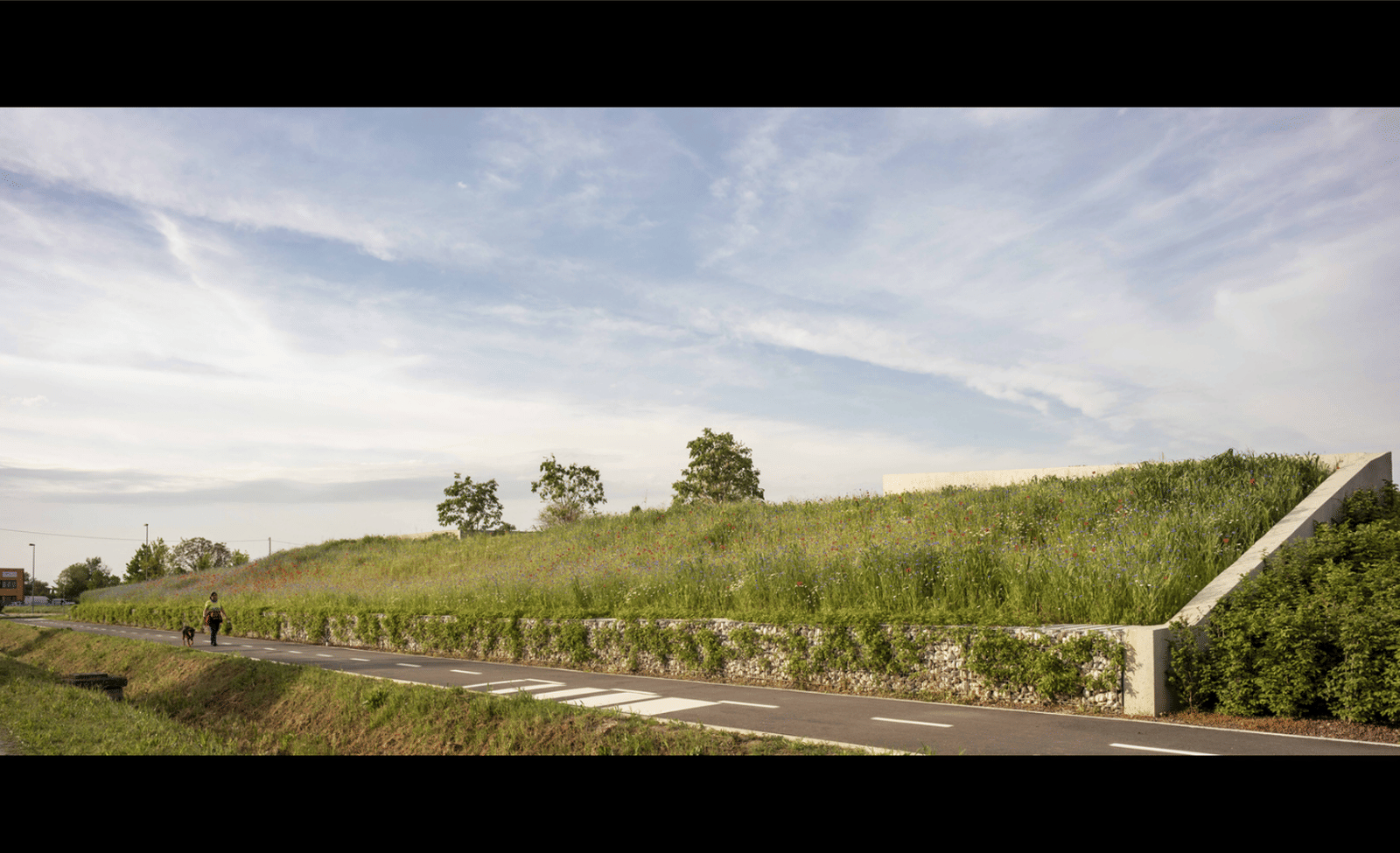 The Orangeale Factory - Photo 16