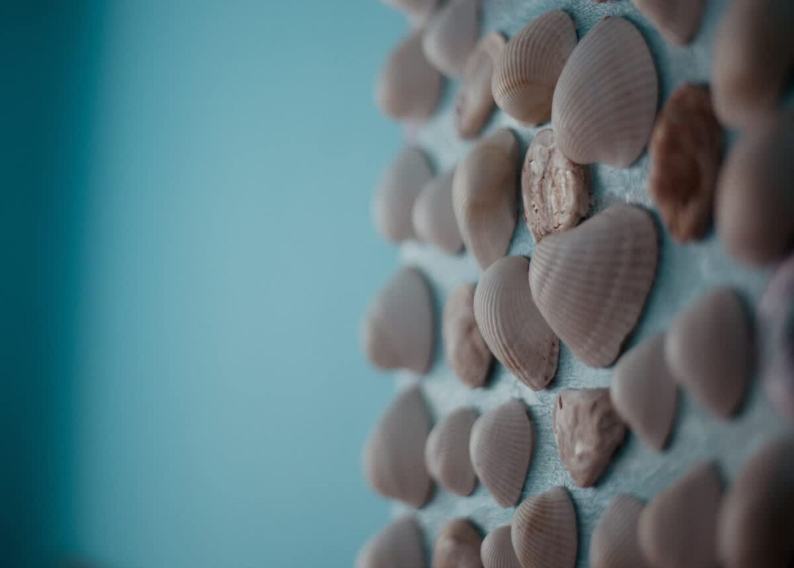 Shells  One-bedroom Flat Close to the Sea Garden - Photo 2