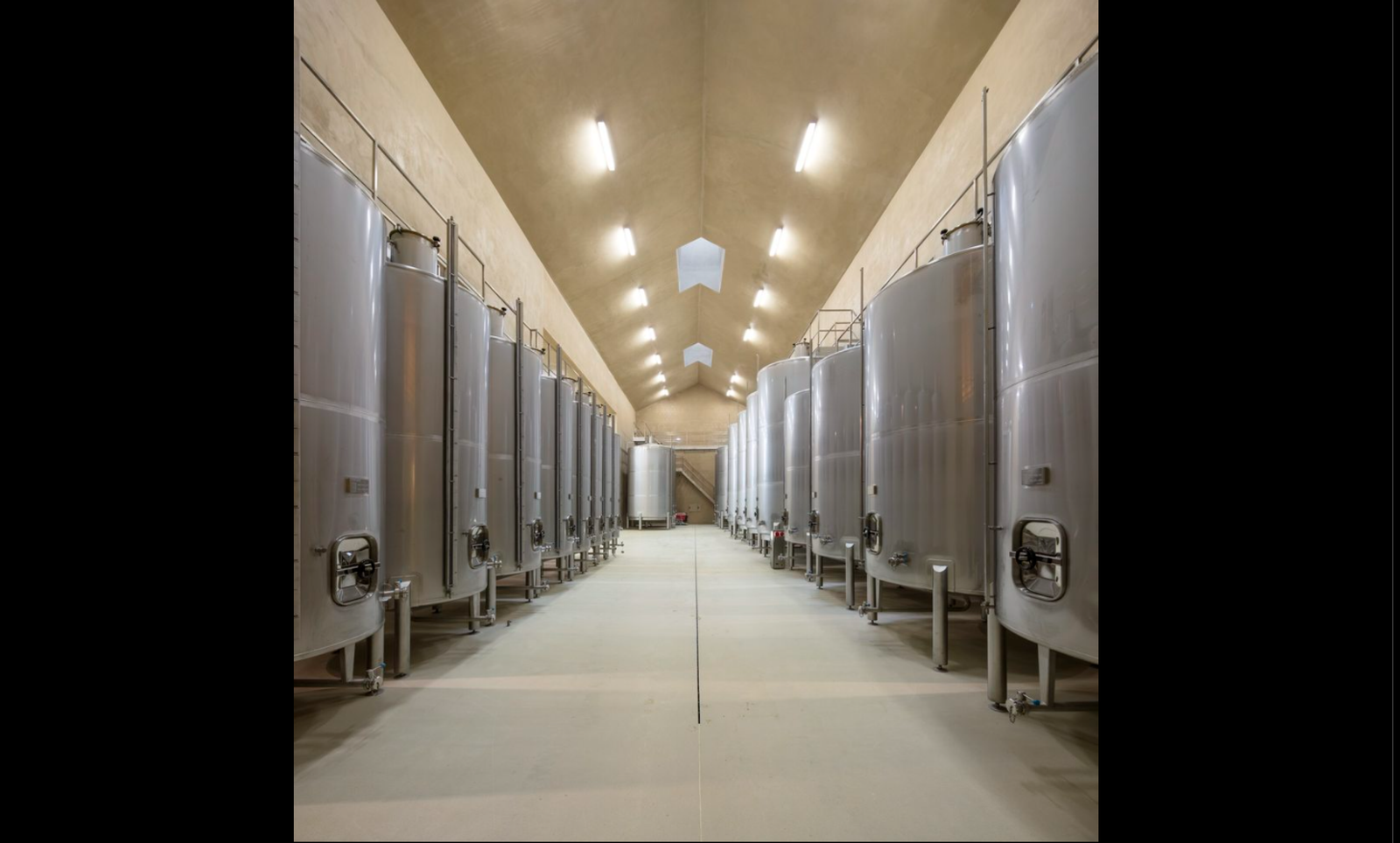 Herdade of Freixo Winery - Photo 4