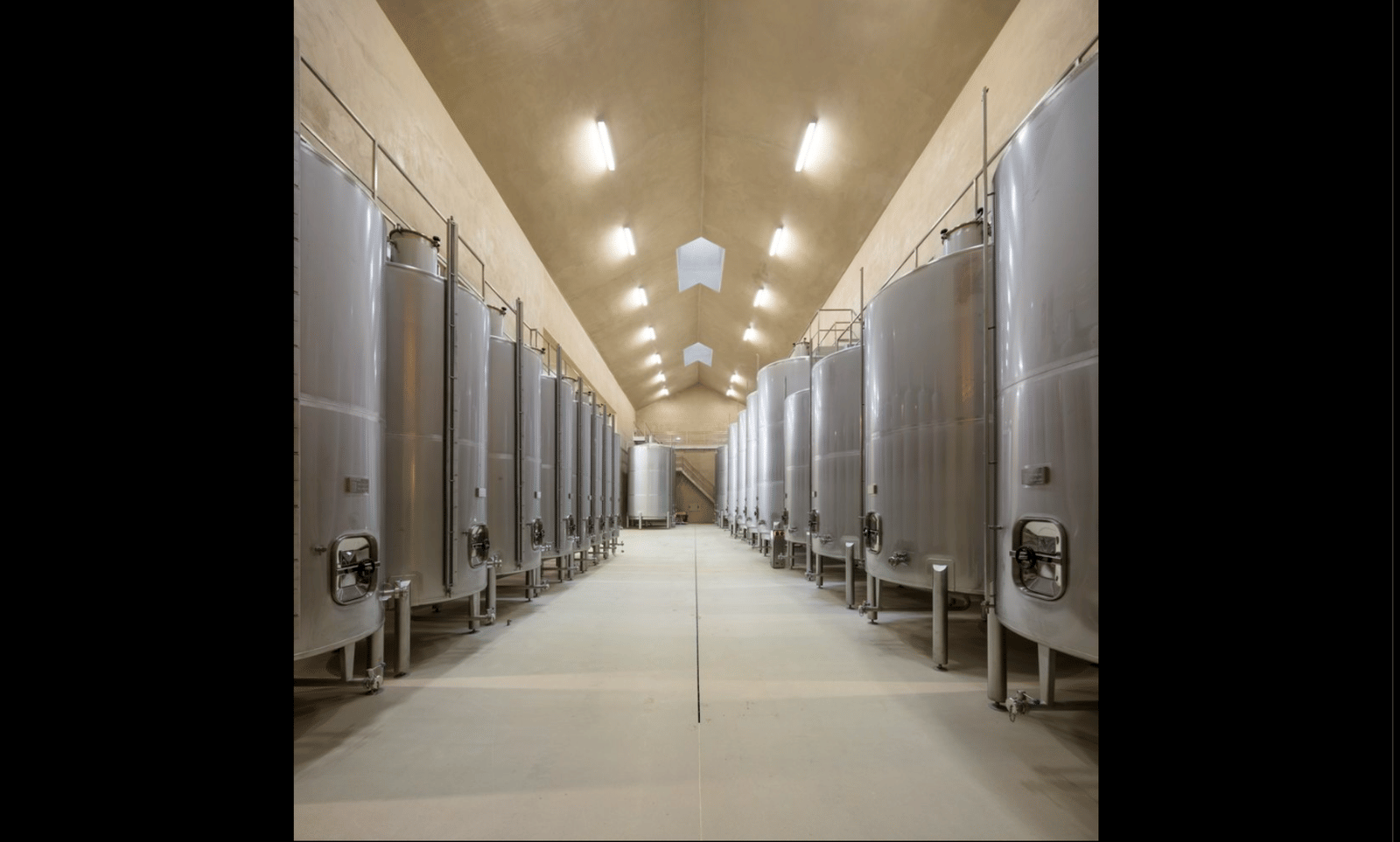 Herdade of Freixo Winery - Photo 4