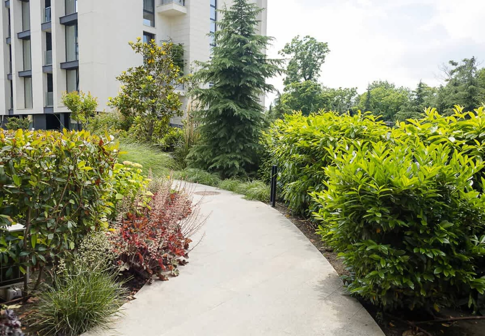 Chic One-Bedroom Getaway in Azur Deluxe Complex - Photo 22