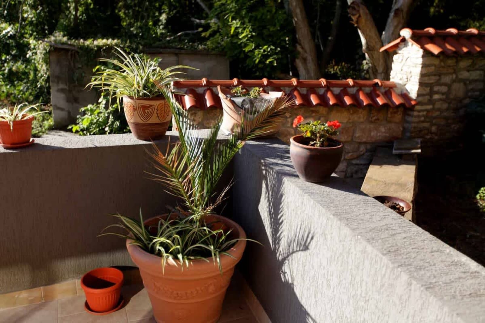 Musica ~ 6BD Private Villa in Balchik - Photo 30