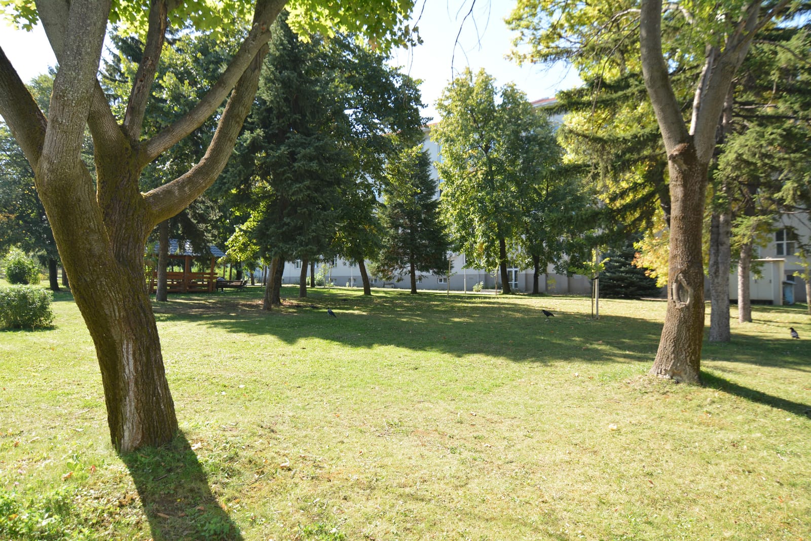 Big recognizable modern building with a bridge view of Sofia - Photo 49
