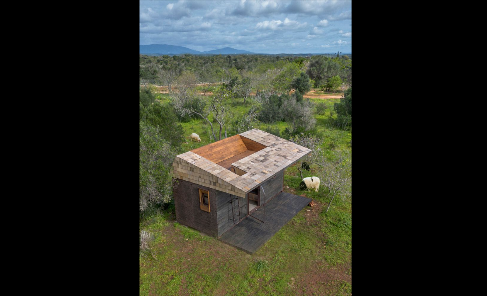 Cargo House - Photo 6