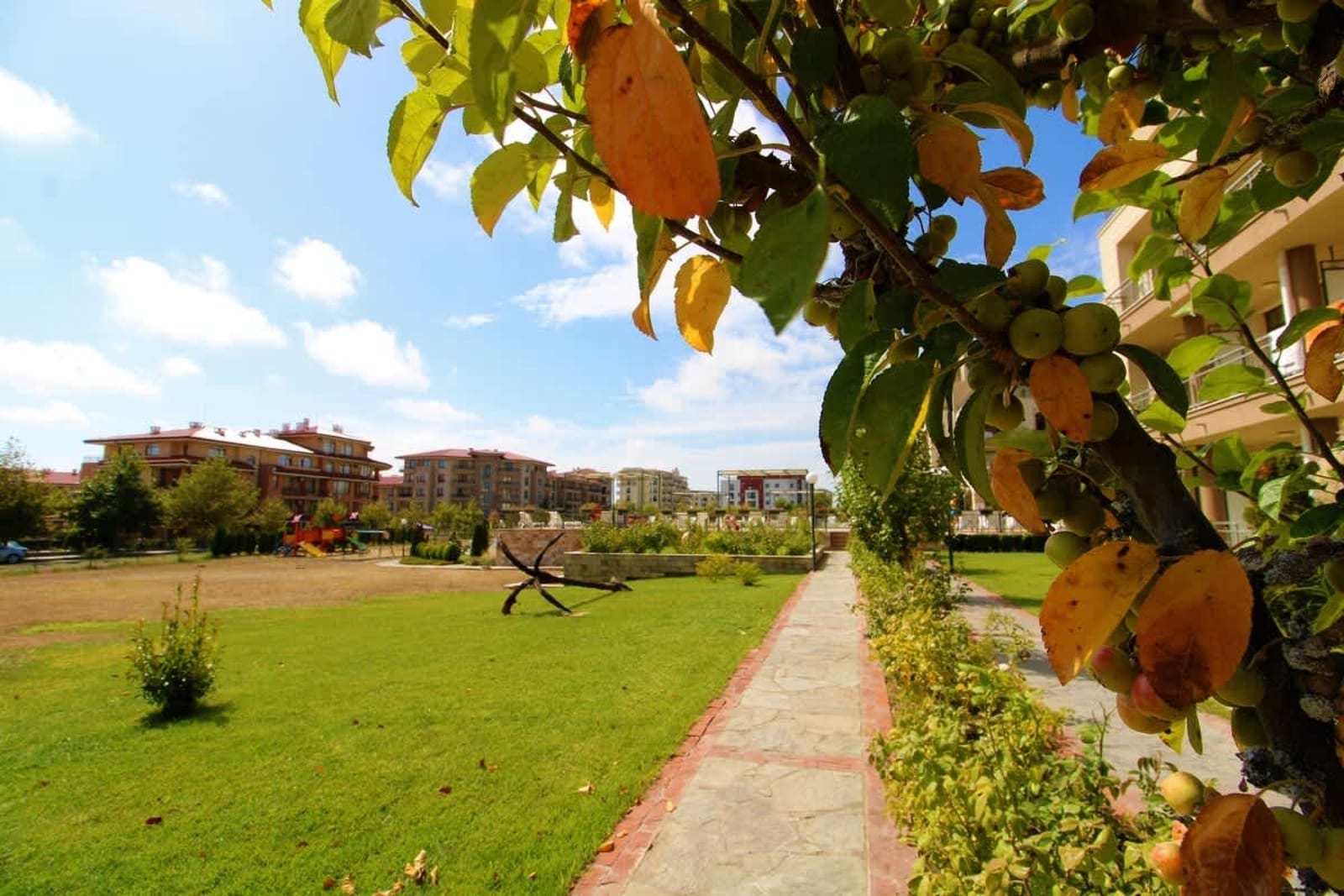 Sorrento Cozy Studio - Photo 7