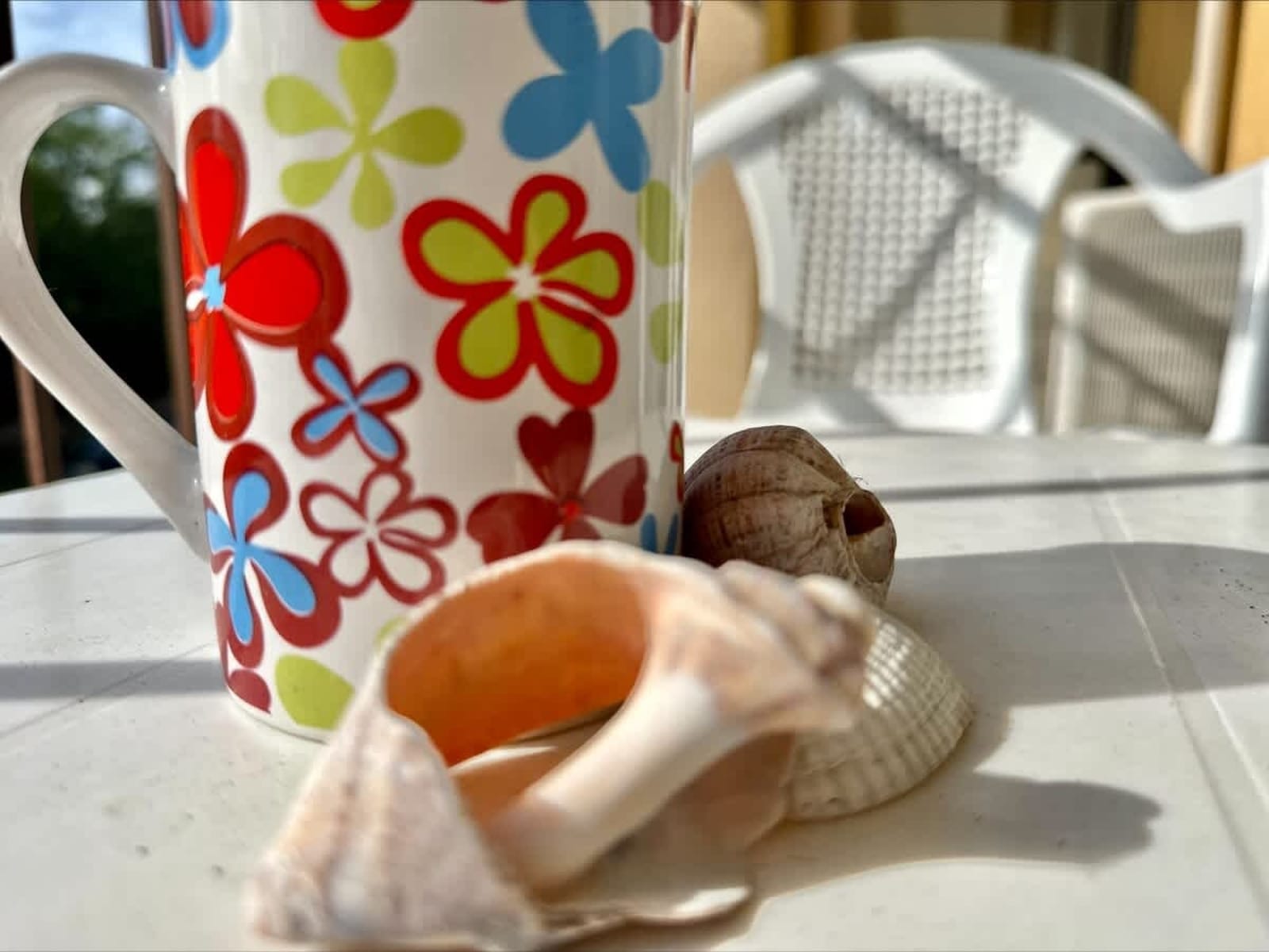 Cozy studio for 4 person in Aheloy Palace - Photo 22