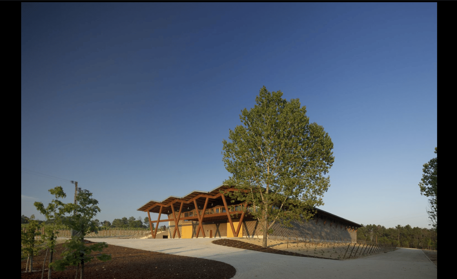 Taboadella Winery - Photo 15