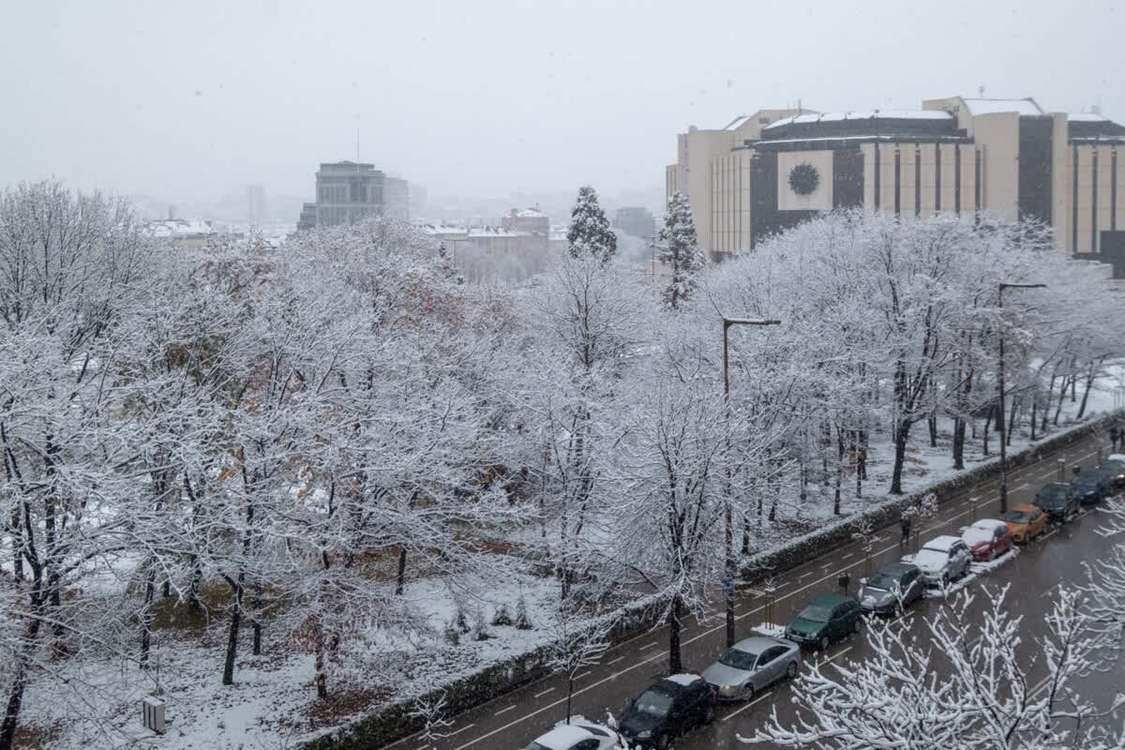 Little HoMe with a Park View - Photo 21