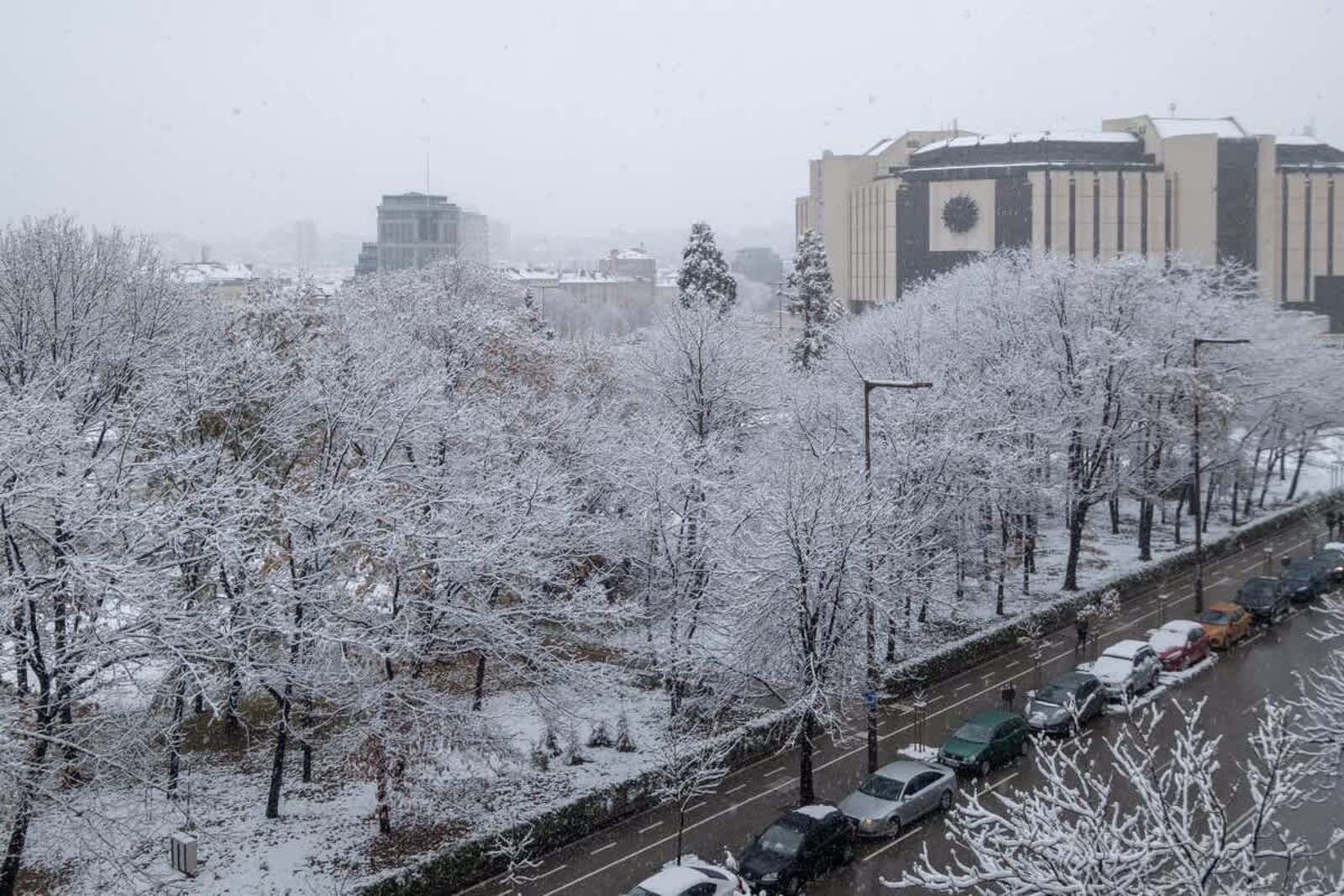 Little HoMe with a Park View - Photo 21